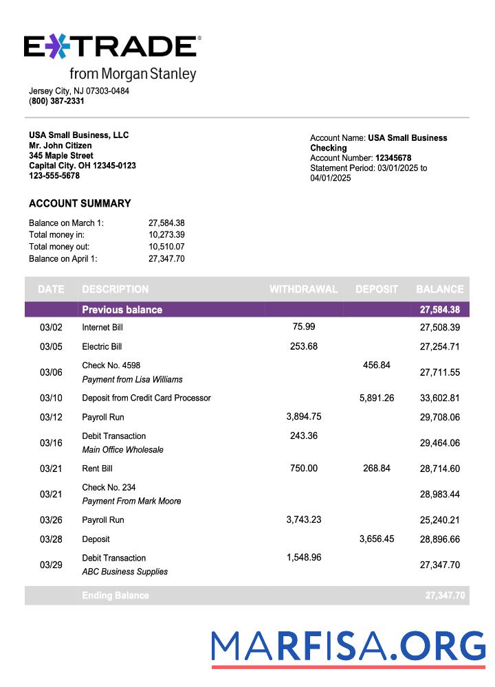Printable US Etrade company checking account statement Word and PDF template